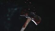 Bloody Hatchet (Hatchet)