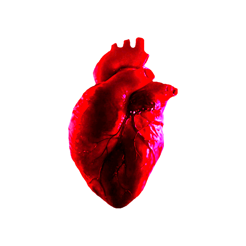 Broken heart | FlaminTales Wiki | Fandom