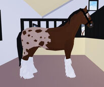 Roblox Horse Valley 2 Buying Clydesdale