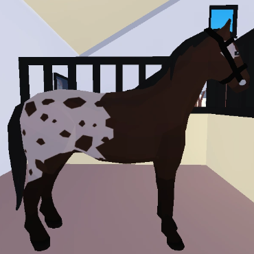 Appaloosa, Horse Valley 2 ROBLOX Wiki