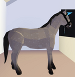 PLAY ROBLOX HORSE VALLEY 2!!! Best game EVER!!! 🐎🐎 : r/horsespics
