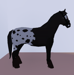 Friesian, Horse Valley 2 ROBLOX Wiki