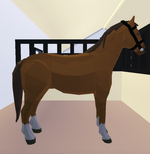 CAVALO DO LOKIS  Roblox - Horse Valley 