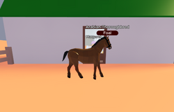 Spirit, Horse Valley 2 ROBLOX Wiki