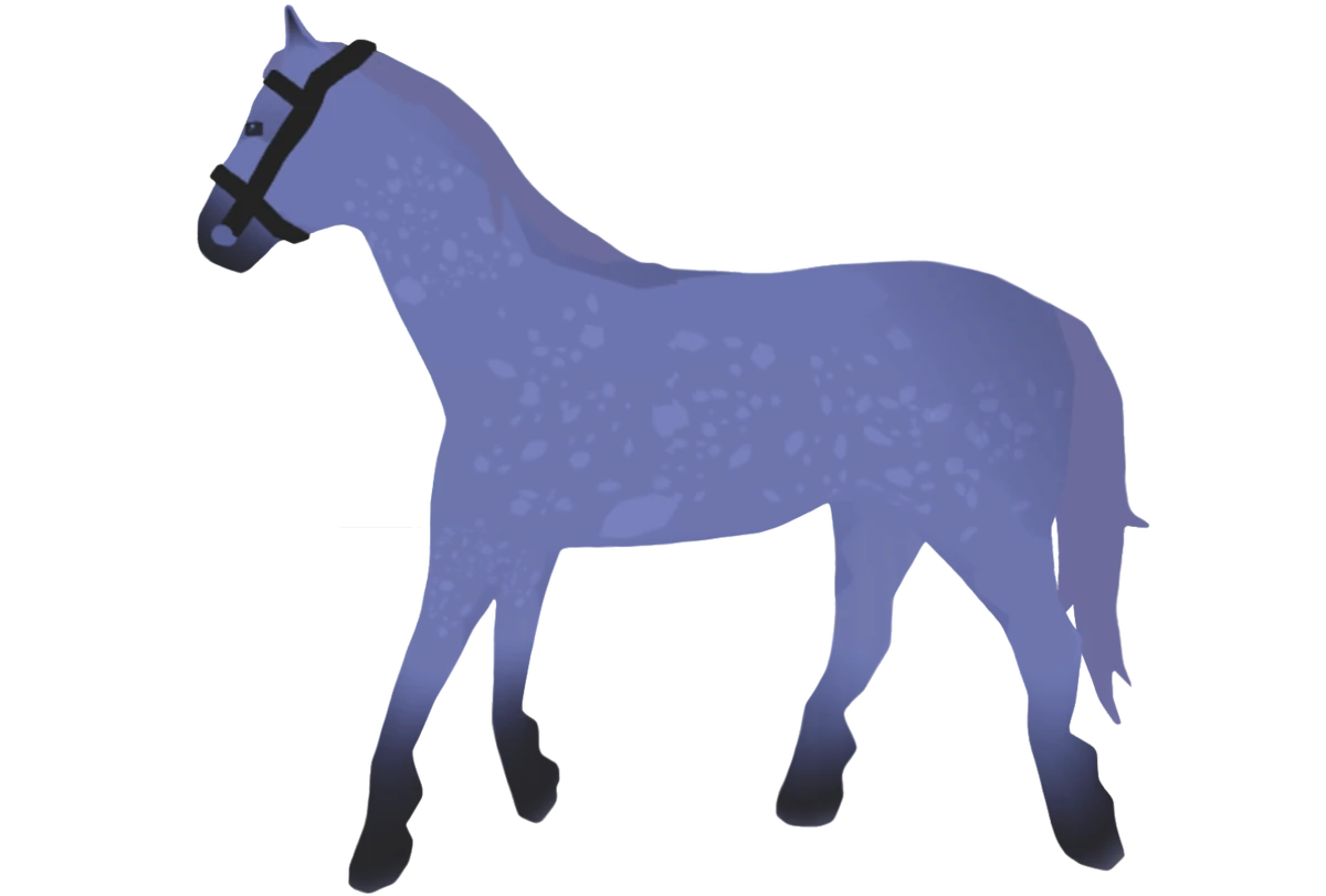 Andalusian Horse Valley 2 ROBLOX Wiki Fandom