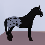 Quarter Horse, Horse Valley 2 ROBLOX Wiki
