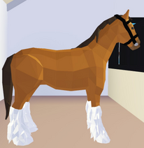 Roblox Horse Valley Quiz!