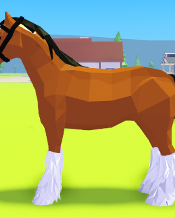 Clydesdale Horse Valley 2 Roblox Wiki Fandom - roblox online horses