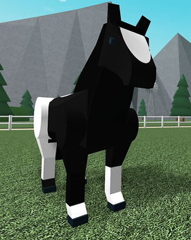 American Paint Black Horse Valley Wikia Fandom - white spots roblox