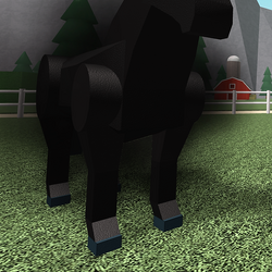 Horse Valley Wikia Fandom - roblox horse valley script