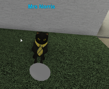 Mrs Norris Horse Valley Wikia Fandom - howt get through the maze in horse valley on roblox