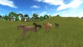 Horse World 02