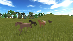 Horse World para ROBLOX - Jogo Download