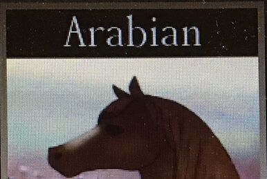 Horse World, Roblox Wiki