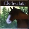 Clydesdale