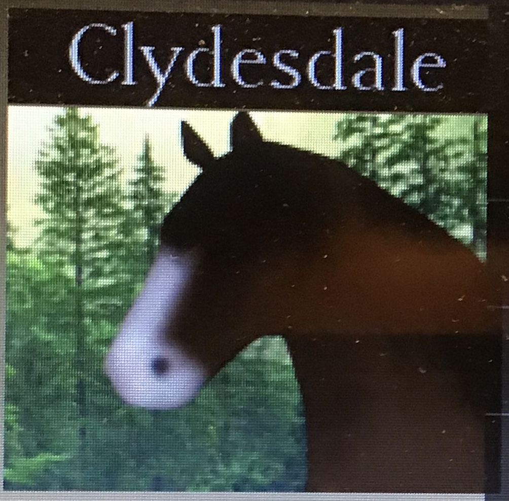 Horse World, Roblox Wiki