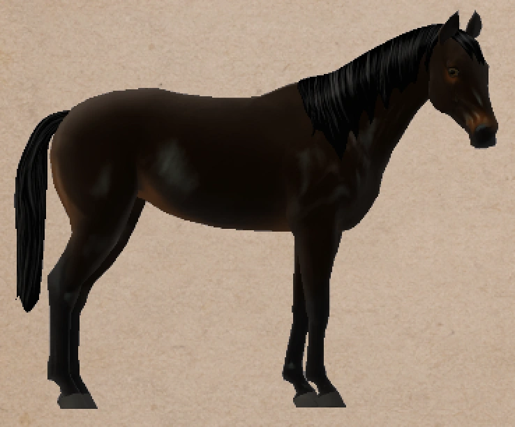 Thoroughbred Hunter Type Horse Isle 3 Infinite Wilds Wiki Fandom