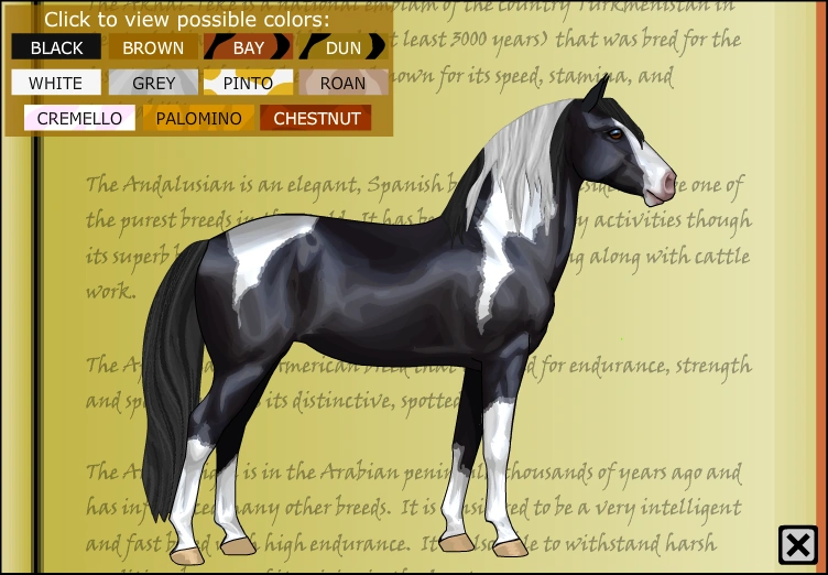 Georgian Grande | Horse Isle 1 Wiki | Fandom