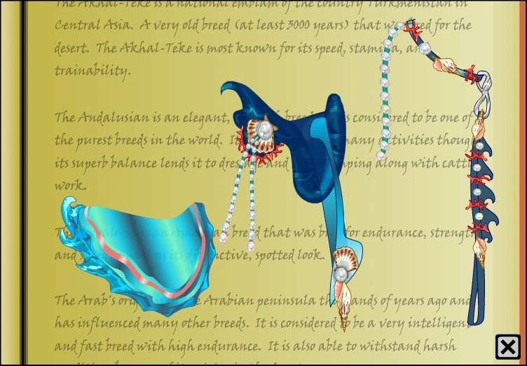 Water tack set Horse Isle 1 Wiki Fandom