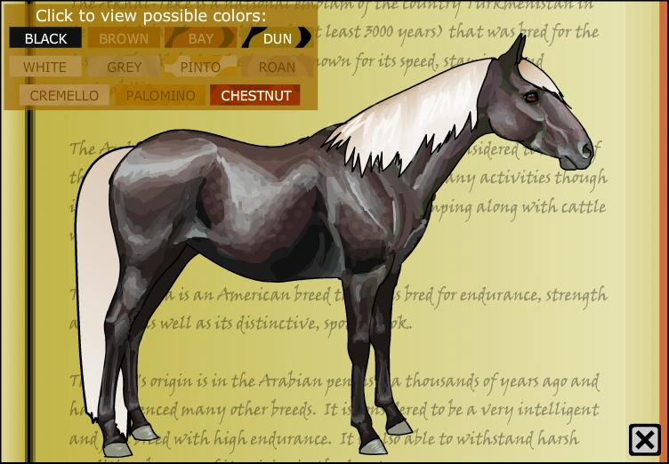 Rocky Mountain Horse Horse Isle 1 Wiki Fandom