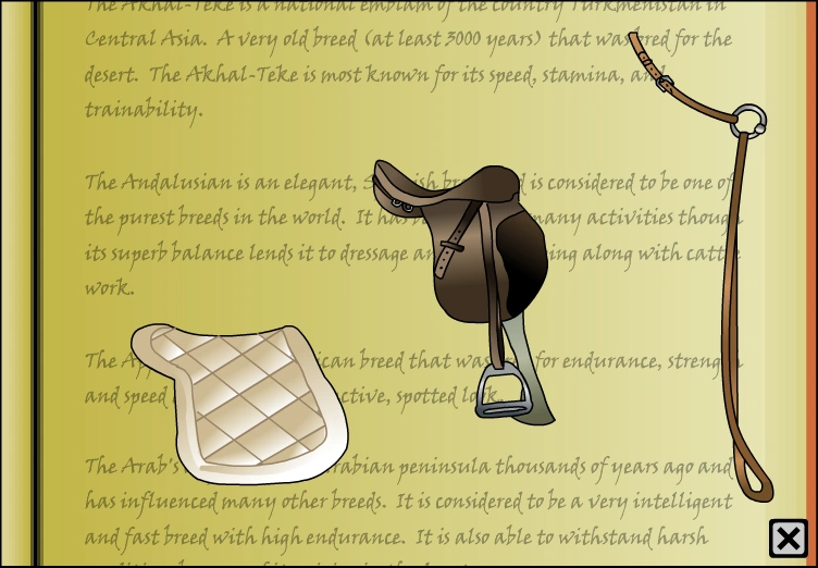 English tack set Horse Isle 1 Wiki Fandom