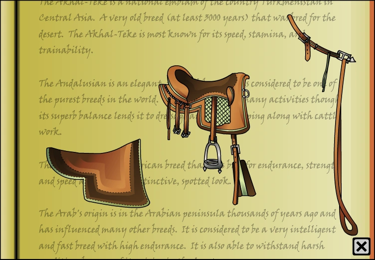 Draft tack set Horse Isle 1 Wiki Fandom