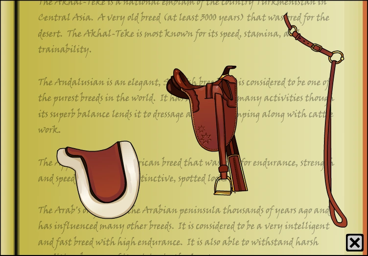 Australian tack set Horse Isle 1 Wiki Fandom