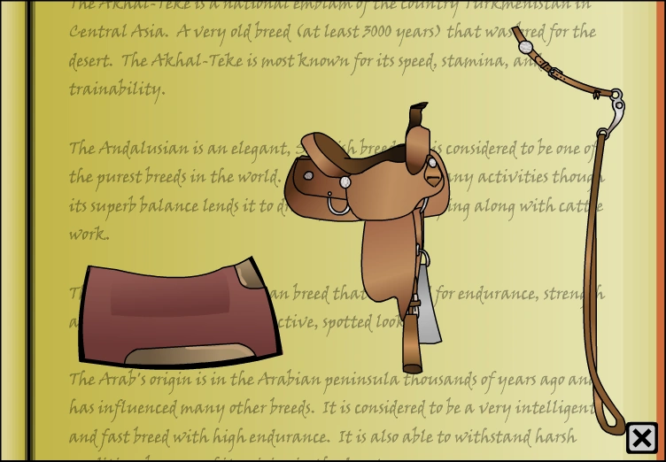 Western tack set Horse Isle 1 Wiki Fandom