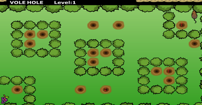Vole Hole Big Forest Isle In Woods Level 1