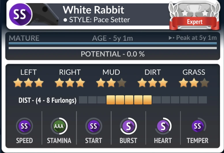 White Rabbit | HorseRacingManager Wiki | Fandom