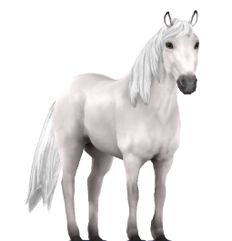 Majestic White | Horse Riding Tales Wiki | Fandom