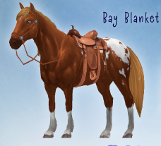 Bay Blanket Mustang | Horse Riding Tales Wiki | Fandom