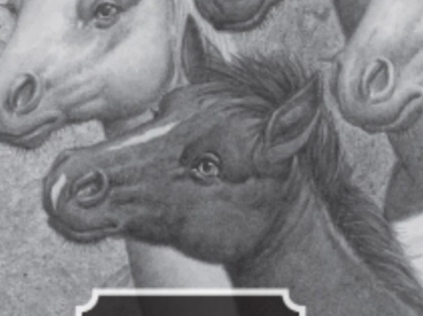 Cielo Horses of the Dawn Wiki Fandom