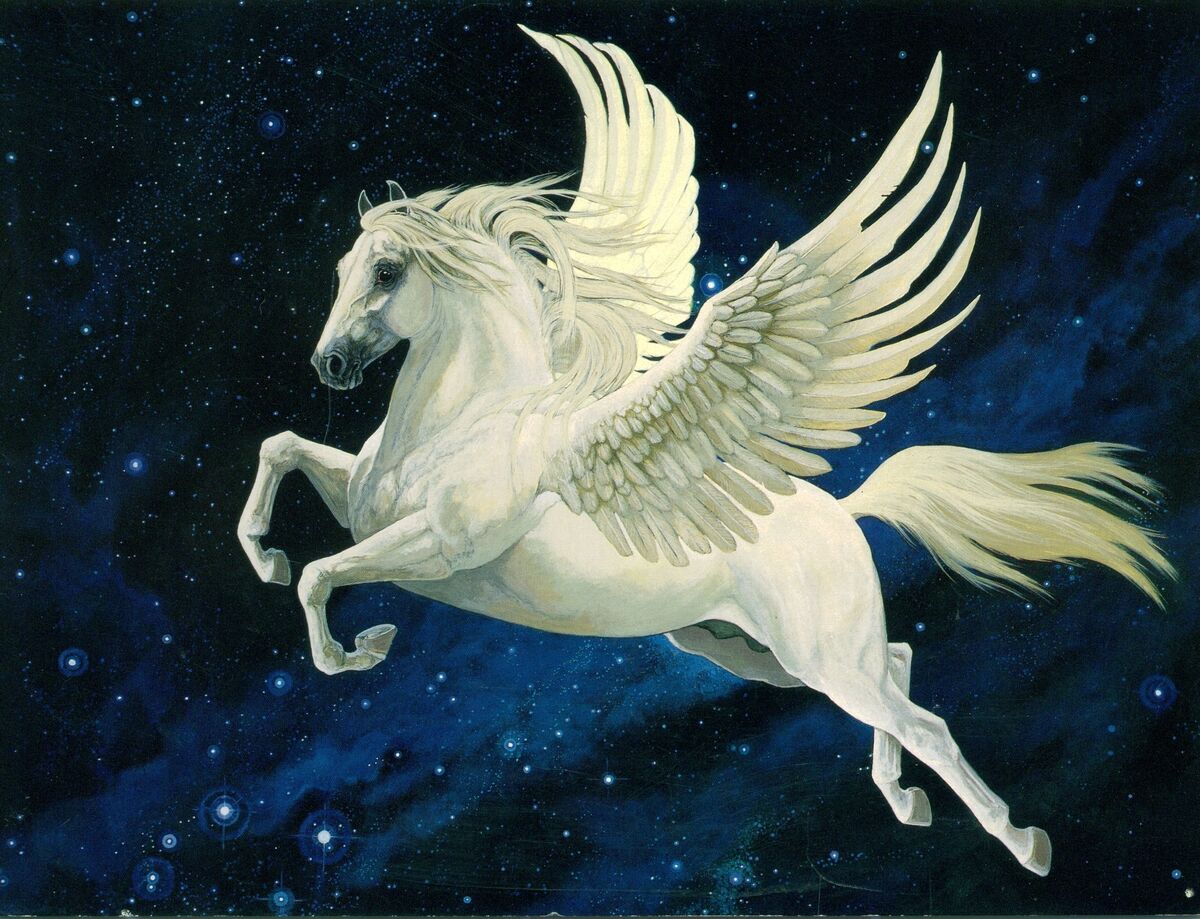 real pegasus horse flying