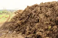 A manure heap