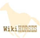 May 20, 2007 - June 28, 2008 (alt. version)