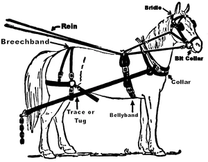 Illustration harness