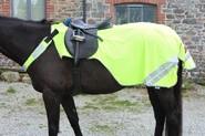 A hi-vis jacket on a horse