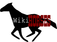 May 20, 2007 - June 28, 2008