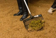 Mucking out a stable