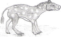 Eohippus drawing