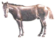 Tiro argentino