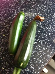 Courgette