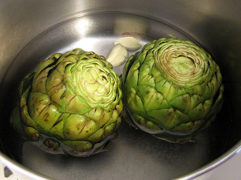 Growing Artichokes Horticulture and Soil Science Wiki Fandom