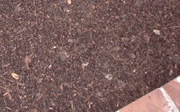 Aged compost mulch on a flower bed
