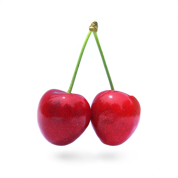 Cherry, Horticulture and Soil Science Wiki