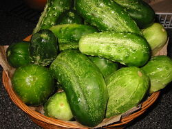 PicklingCucumbers