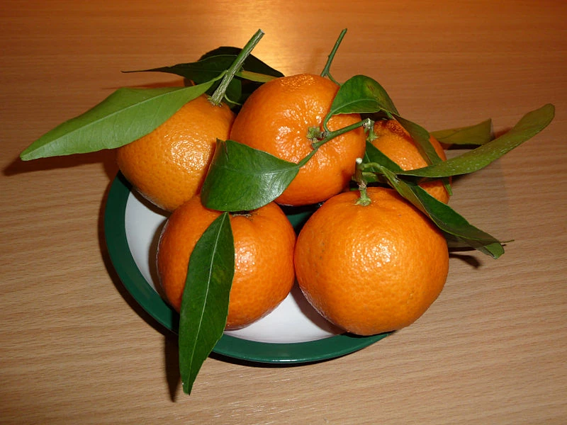 Growing Mandarin Oranges Horticulture and Soil Science Wiki Fandom