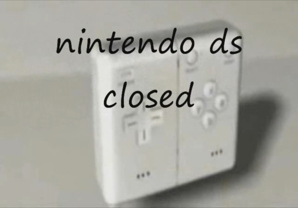 Nintendo DS Closed Hoskinist Wiki Fandom