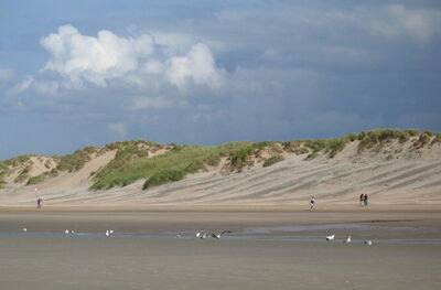 Koksijde Beach